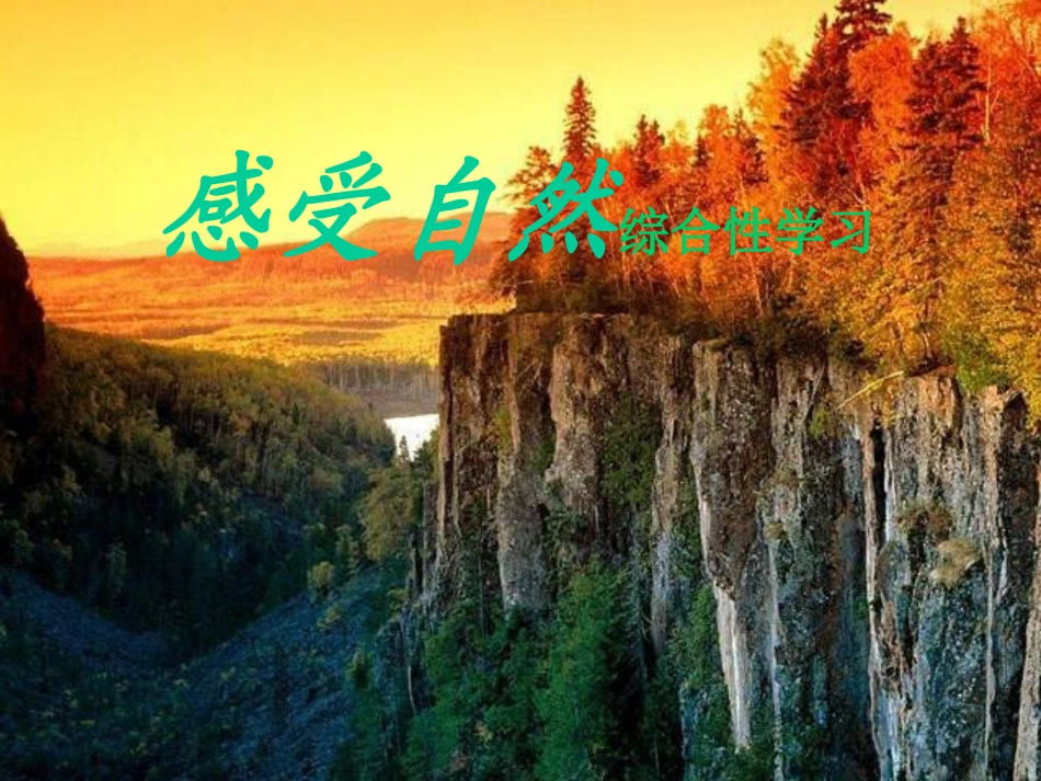 人教语文七感受自然_第2页