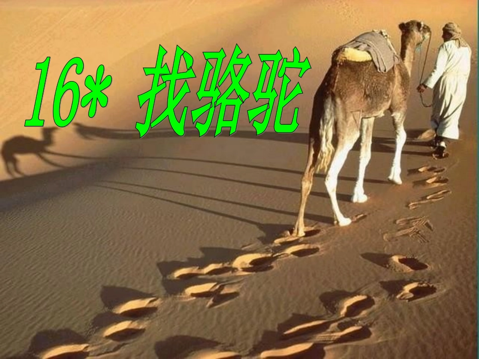 三年级语文上册第四组16找骆驼第一课时课件_第1页