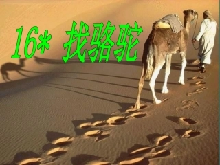 三年级语文上册第四组16找骆驼第一课时课件