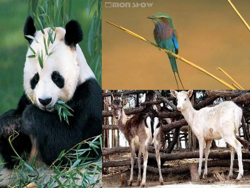 初三化学空气_第3页