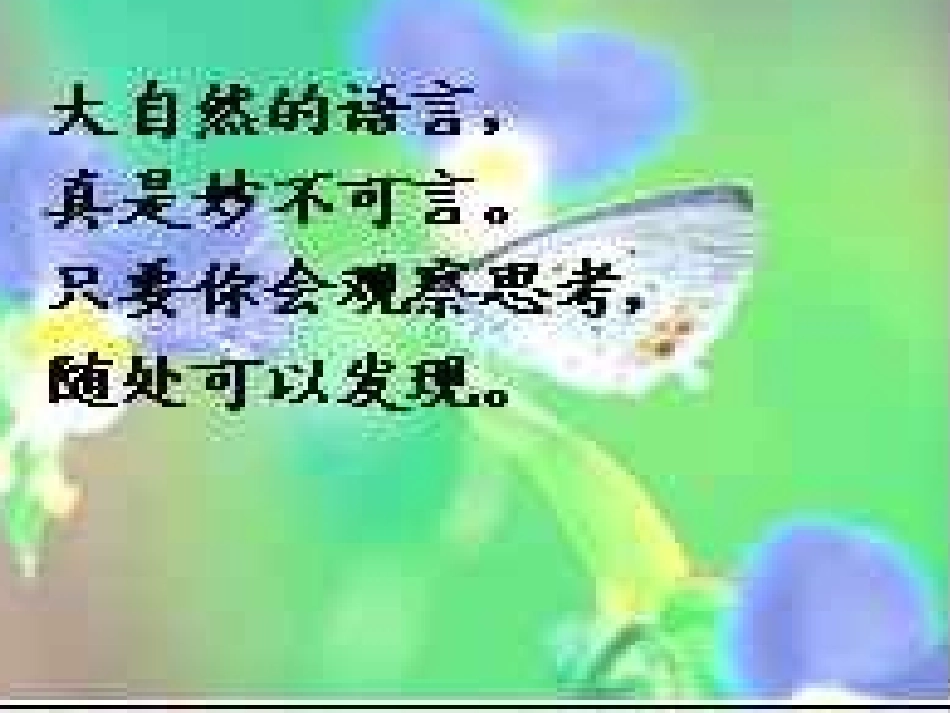 《大自然的语言》_第1页