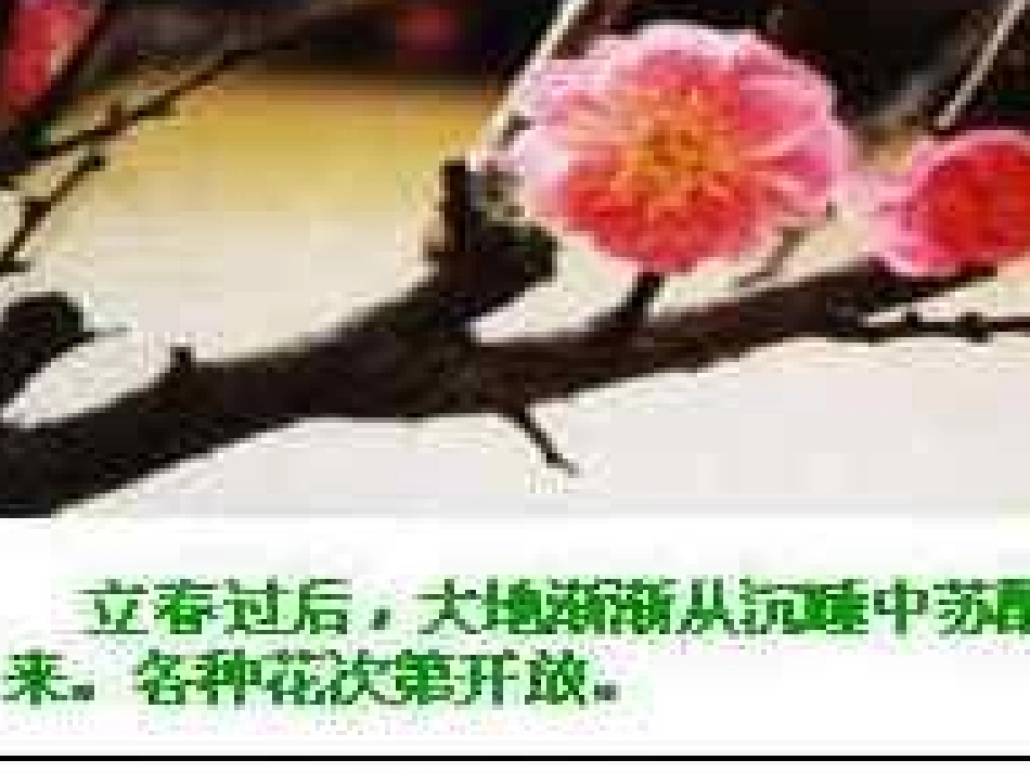 《大自然的语言》_第2页