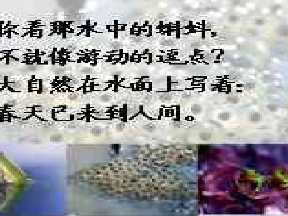 《大自然的语言》_第3页