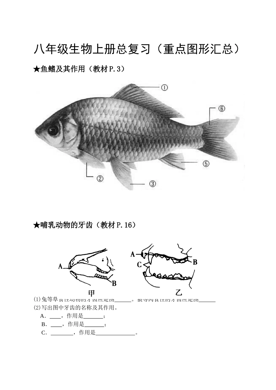 【识图作答】八年级生物上册(重点图形汇总)【人教版】_第1页