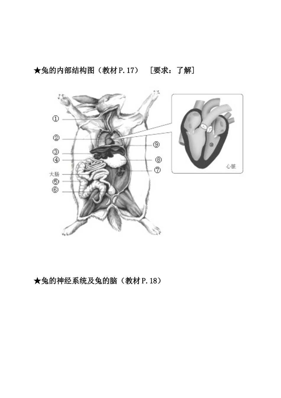 【识图作答】八年级生物上册(重点图形汇总)【人教版】_第2页