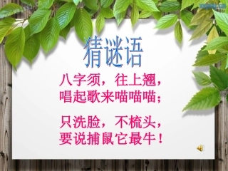 小猫刮胡子演示文稿