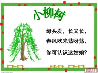 小柳树和小枣树课件