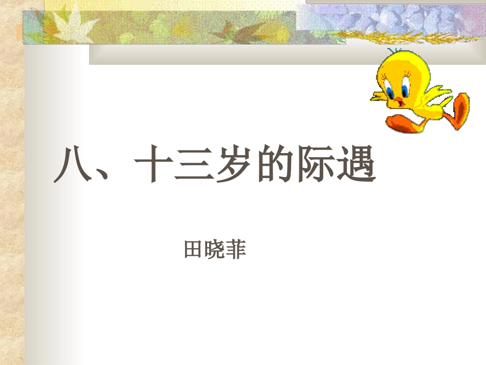 苏教版《十三岁的际遇》课件05_第1页