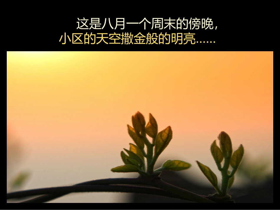 数字故事《幸福的妞妞》_第3页