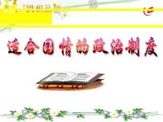 适合国情的政治制度