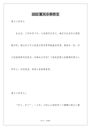 2024夏天小学作文_18