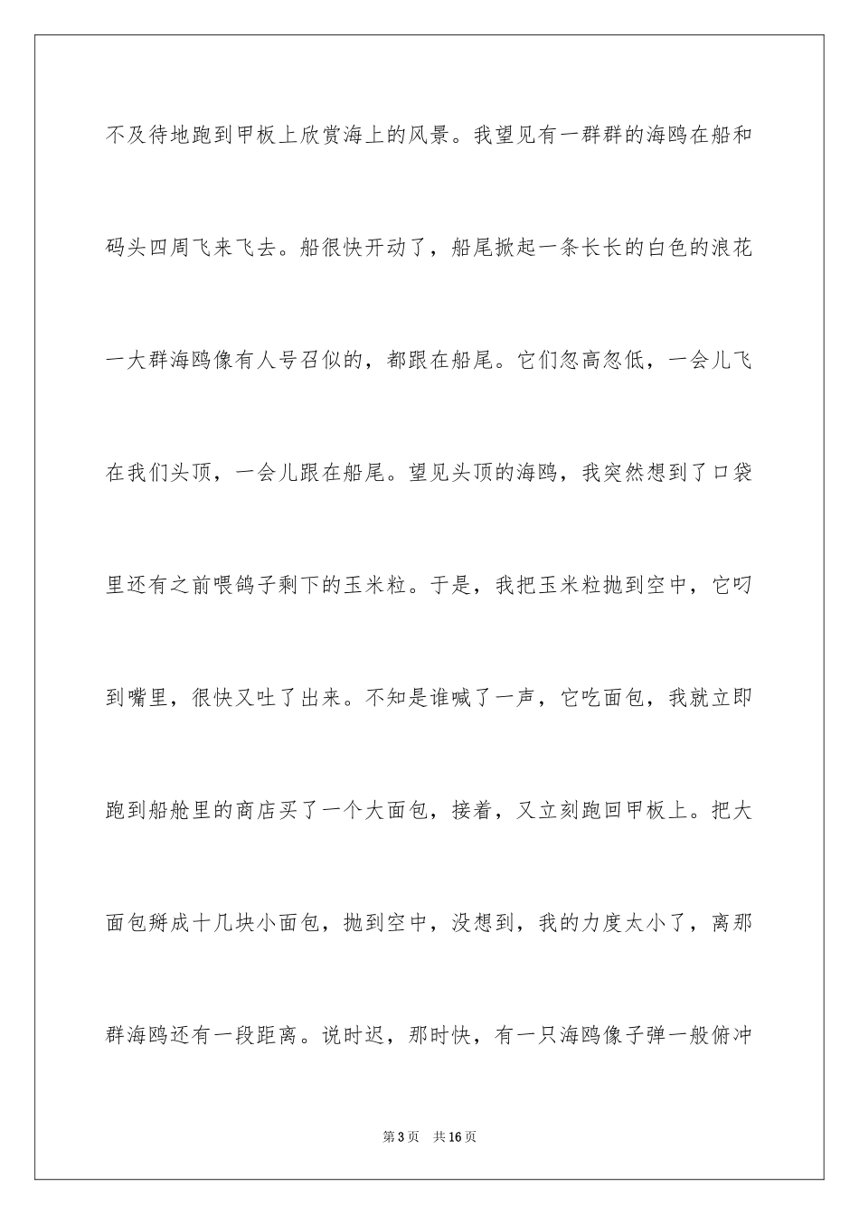 2024喂海鸥的作文_第3页