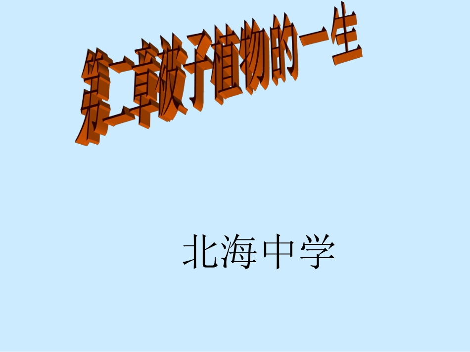 被子植物的一生复习课件_第1页