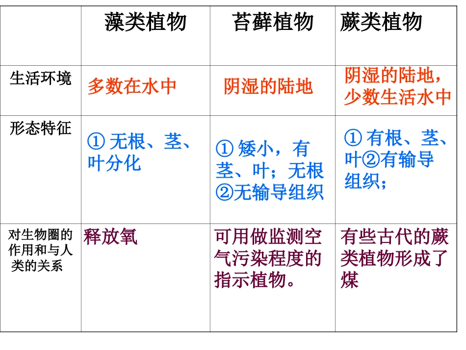 被子植物的一生复习课件_第2页