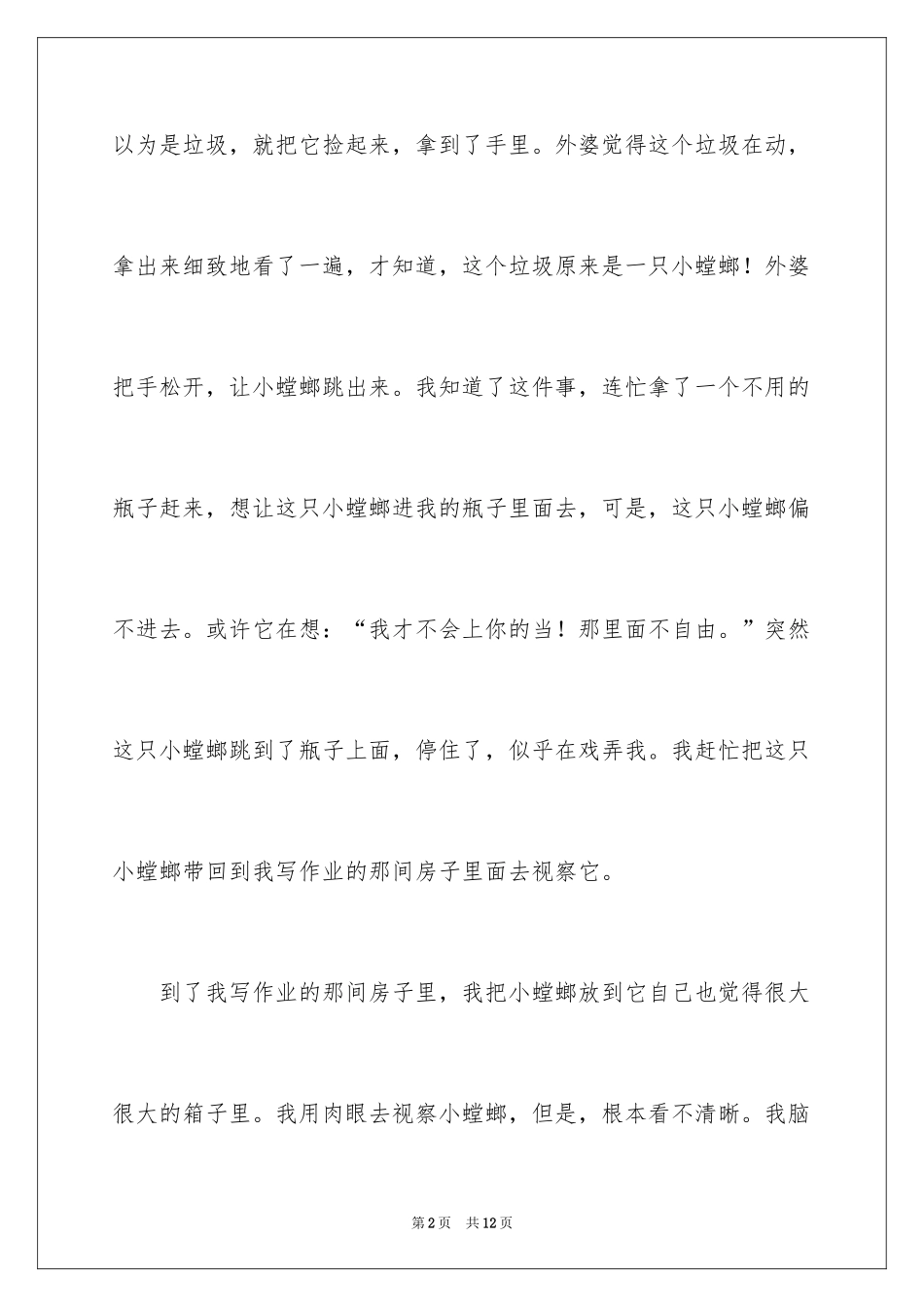 2024写观察昆虫日记_第2页