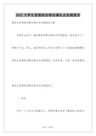 2024大学生思想政治理论课社会实践报告