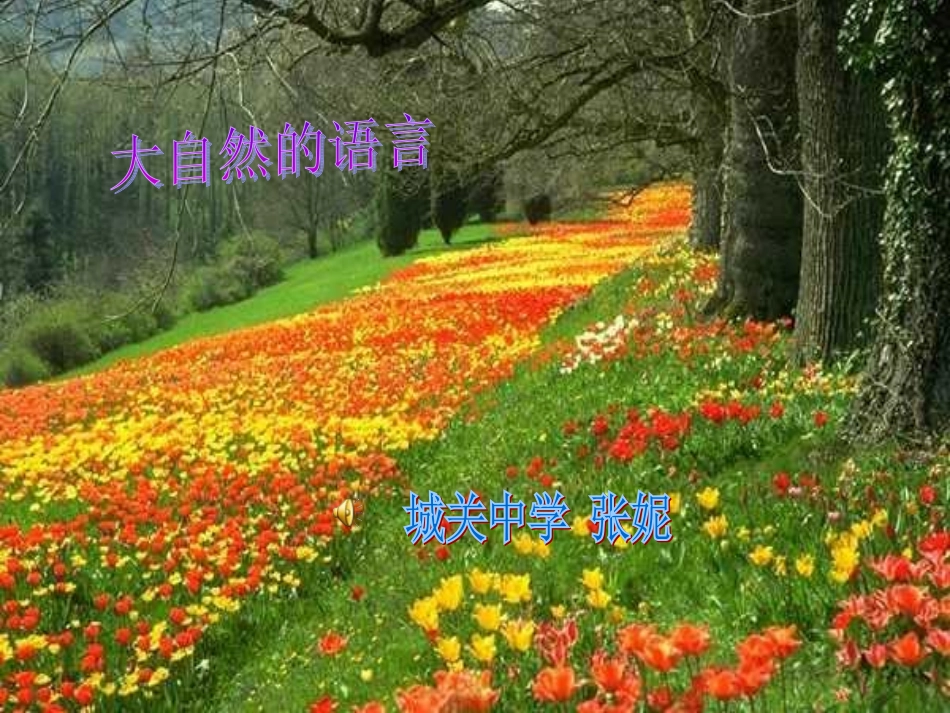 二年级语文上册第四组第一课时课件_第1页