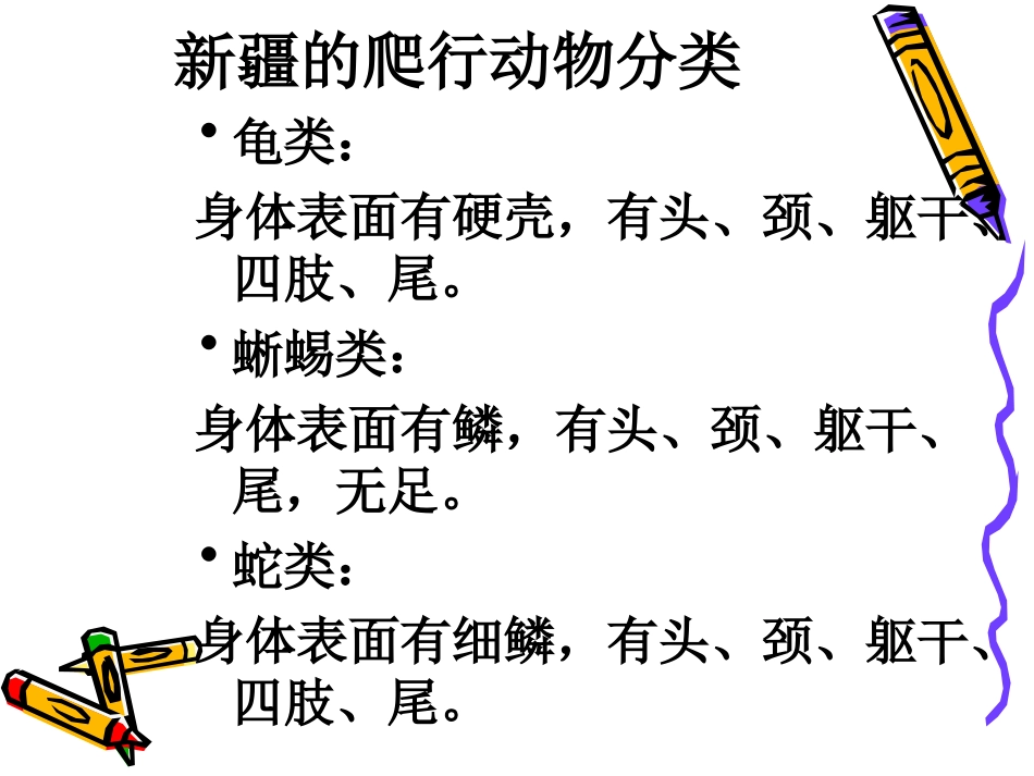 有趣的爬行动物_第2页