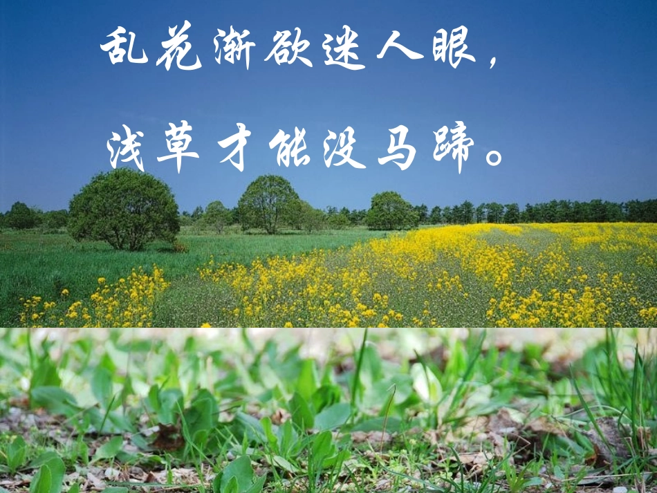 大自然的语言课件上课用_第2页