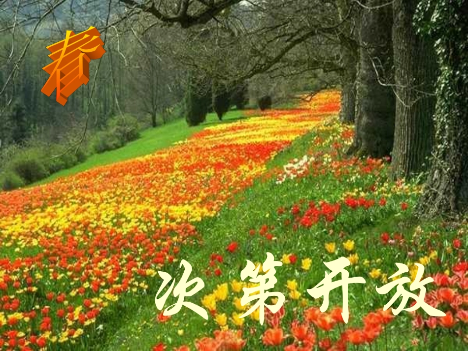 大自然的语言课件上课用_第3页