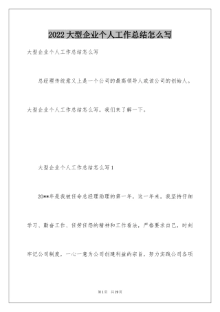 2024大型企业个人工作总结怎么写