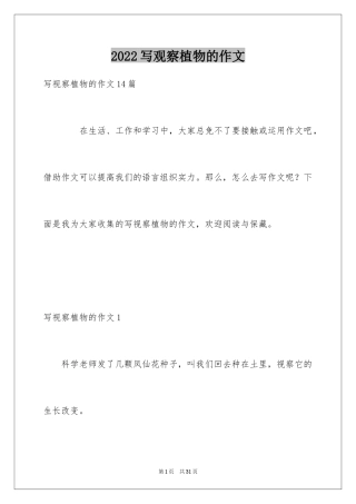2024写观察植物的作文_1