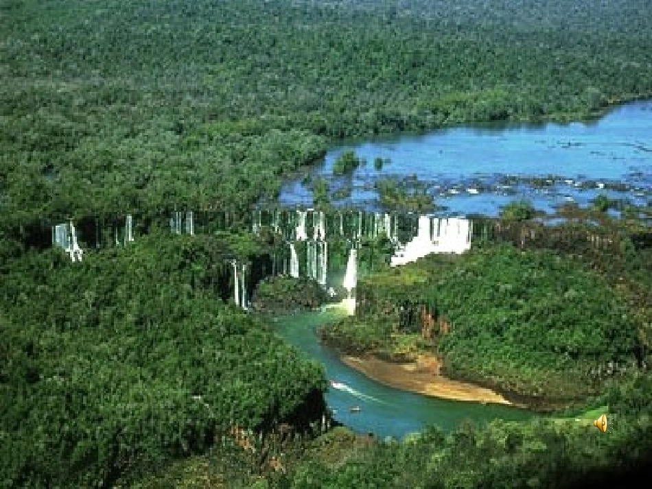 大瀑布的葬礼_第3页