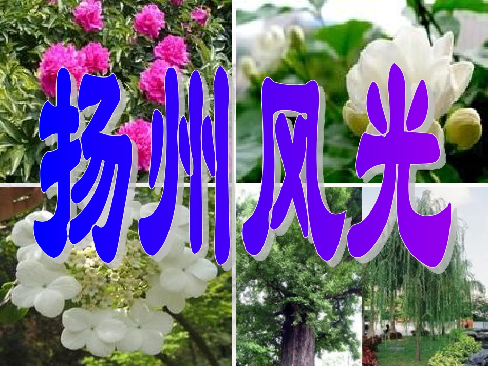 《扬州慢》教学课件_第3页