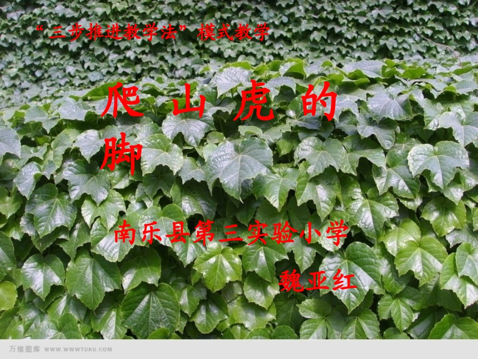 叶圣陶（1894年－1988_第1页