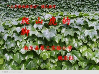 叶圣陶（1894年－1988