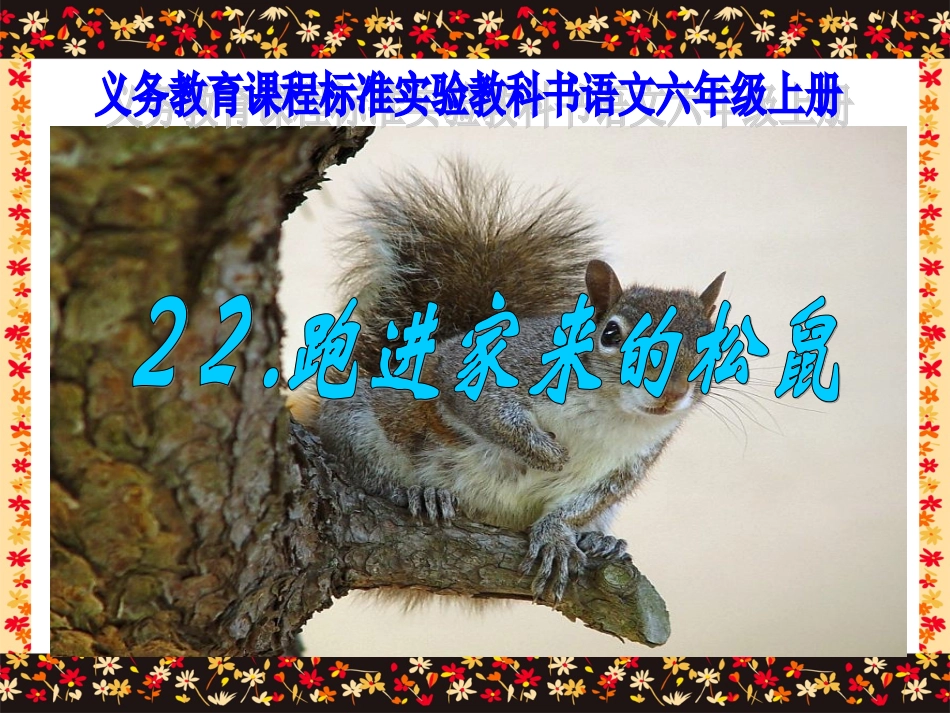 《跑家的松鼠》件_第1页