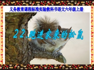 《跑家的松鼠》件
