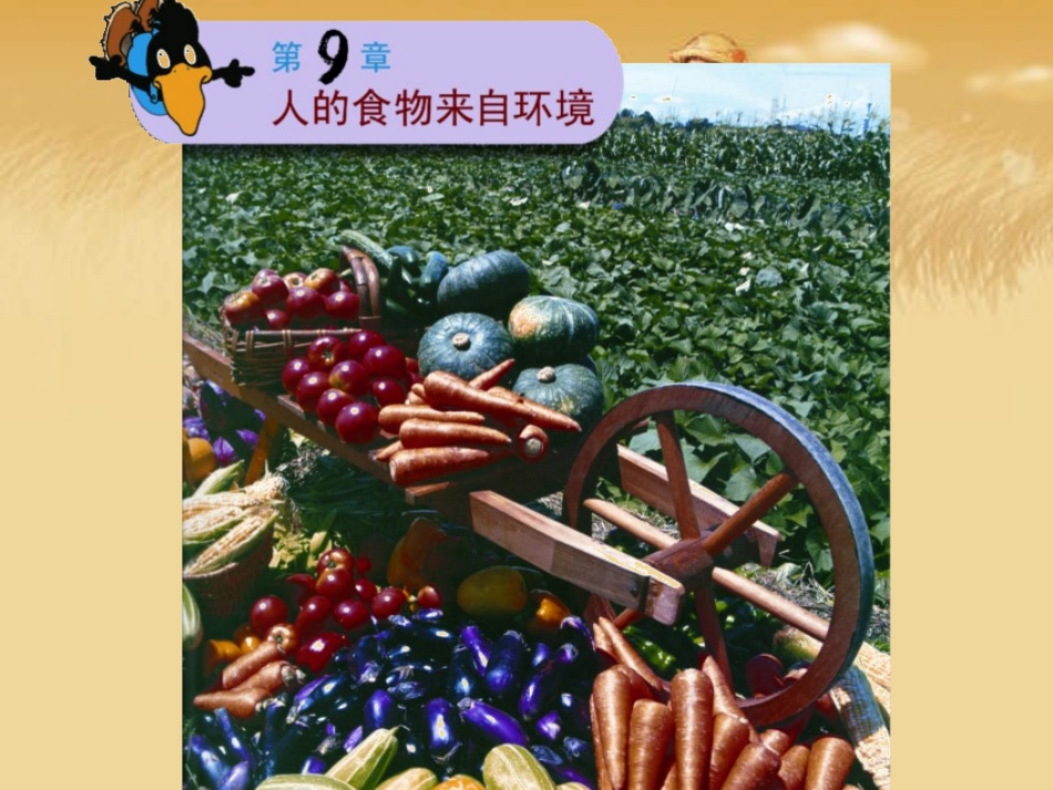 《第一节人体需要的主要营养物质》课件1_第1页