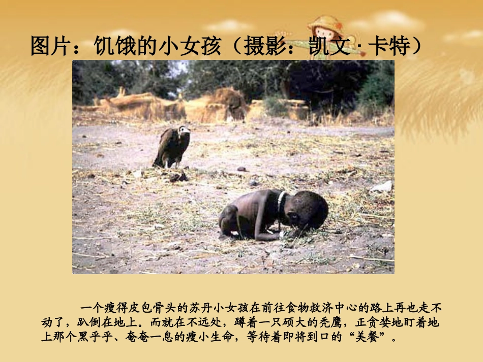 《第一节人体需要的主要营养物质》课件1_第3页