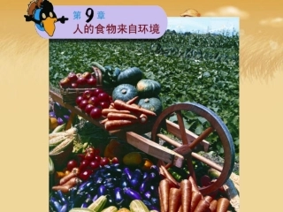 《第一节人体需要的主要营养物质》课件1