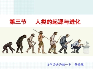 人类的起源与进化