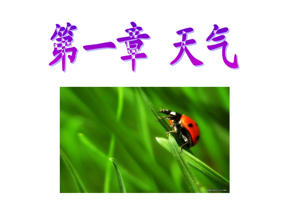 我们关心天气_第3页