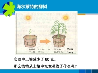 植物对水和无机盐的吸收(1)