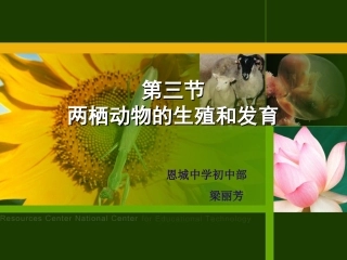 两栖动物的生殖和发育