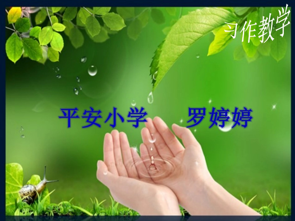 习作课件罗婷婷_第1页