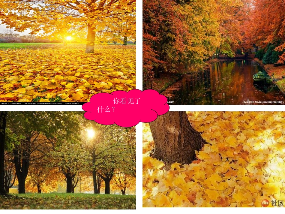 习作课件罗婷婷_第2页