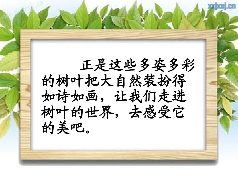 习作课件罗婷婷_第3页