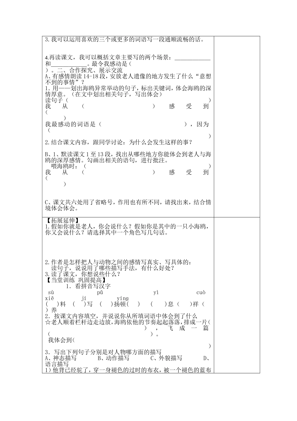21老人与海鸥_第3页