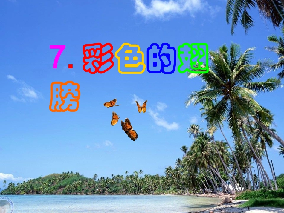 382彩色的翅膀PPT课件_第1页