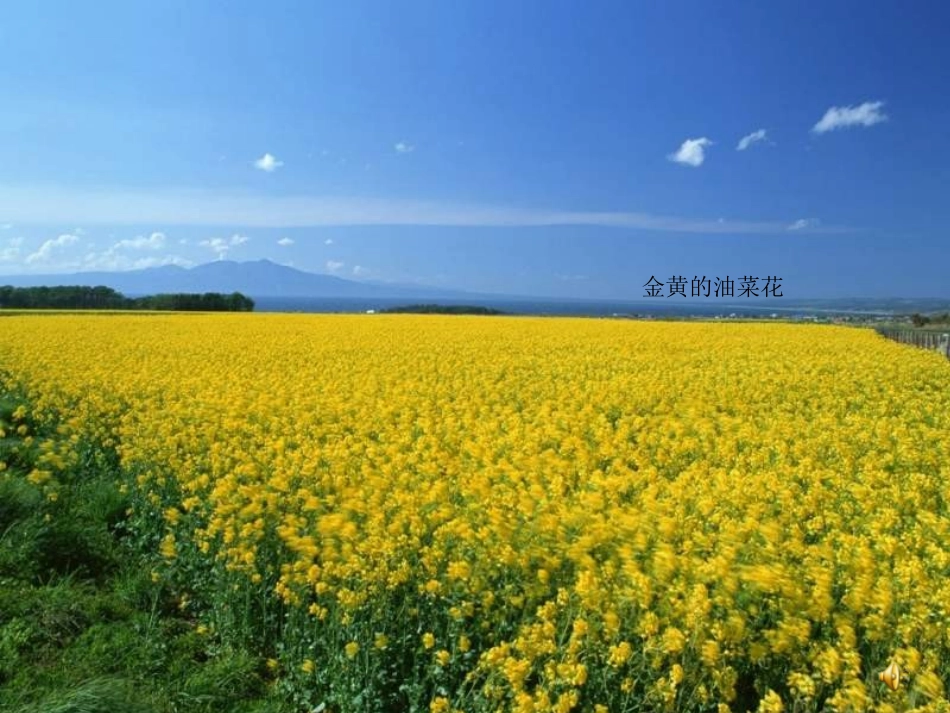 一年级下册识字1课件_第2页