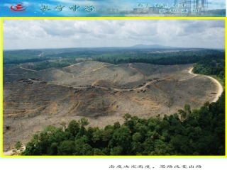 森林的开发和保护