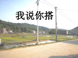 《我说你搭》课件