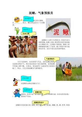 泥鳅：气象预报员