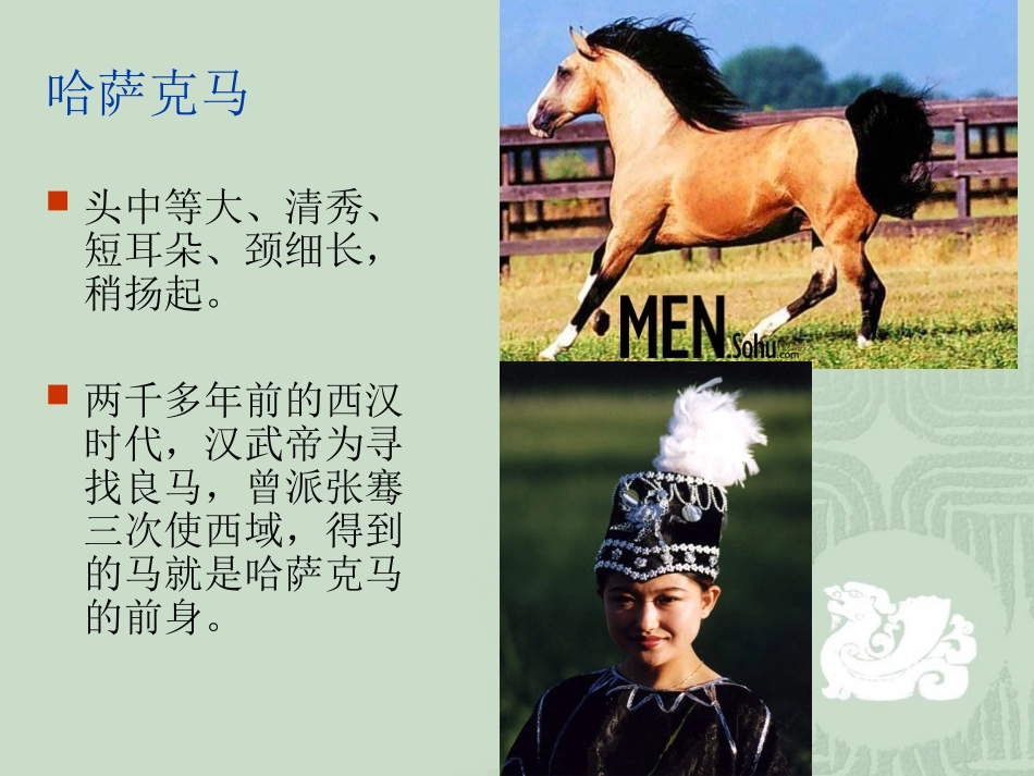 《枣红色的走马》课件_第2页