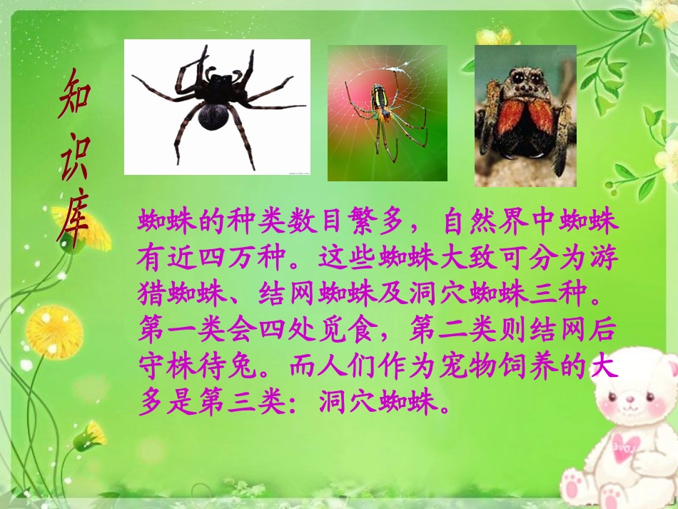 五年级《蜘蛛脱险》_第2页